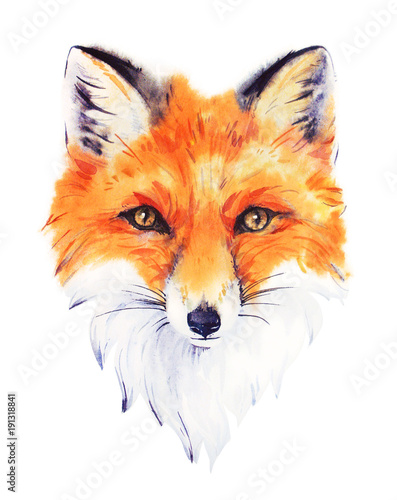 recznie-rysowane-portret-akwarela-czerwony-lis