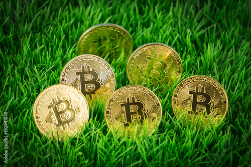 viele-goldenen-bitcoins-im-gras