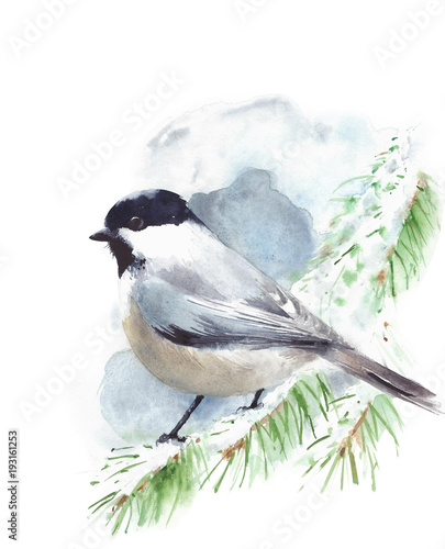 chickadee-ptaka-obsiadanie-na-galeziastym-akwarela-obrazie