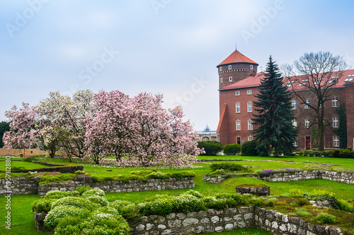 historyczny-krolewski-wawel-kasztel-w-wiosnie-z-kwitnieniem