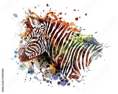 kolor-ilustracji-wektorowych-zebra