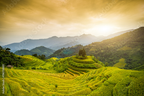 pola-ryzowe-na-tarasach-hoang-su-phi