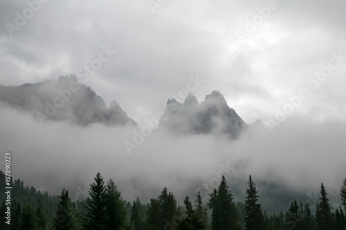 pinnacles-w-mgle-z-drzewami-wiosluja-w-przedpolu