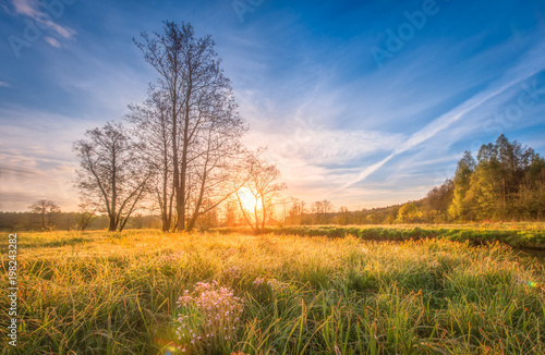 naturalny-sceneria-krajobraz-na-lace-na-jaskrawym-wschodzie-slonca