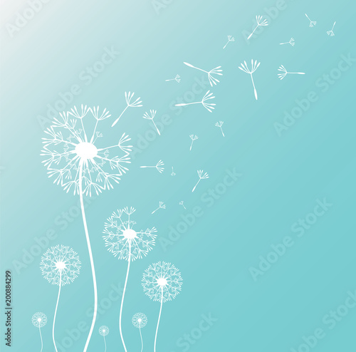 dandelion-blowing-silhouette-with-flying-dandelion-buds-vector-illustration