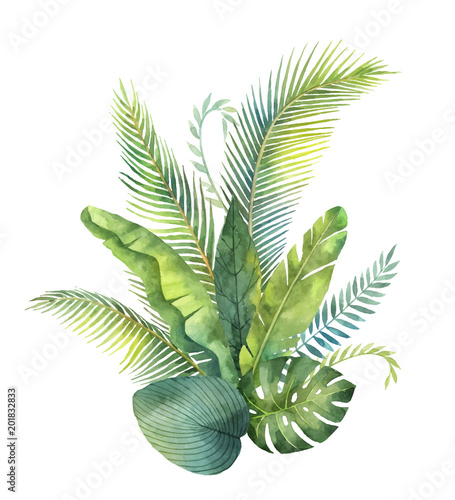 tropische-blatter-und-niederlassungen-des-aquarellvektor-blumenstrauses-lokalisiert-auf-weisem-hintergrund