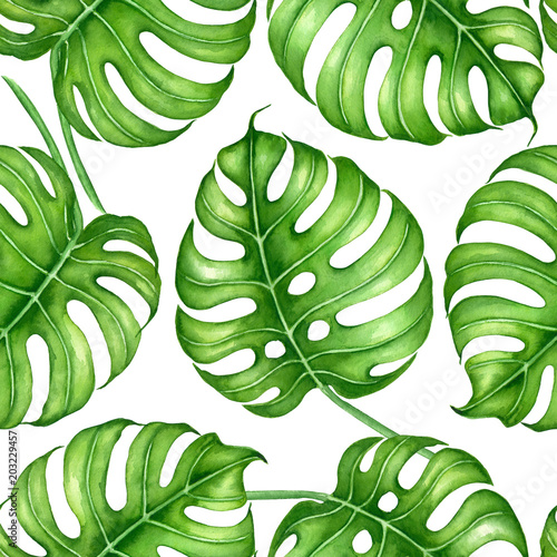 monstera-pozostawia-wzor-namalowany-akwarela-element