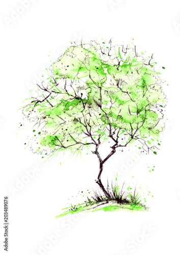 aquarell-sommerlandschaft-gruner-baum-auf-einem-hellen-gras