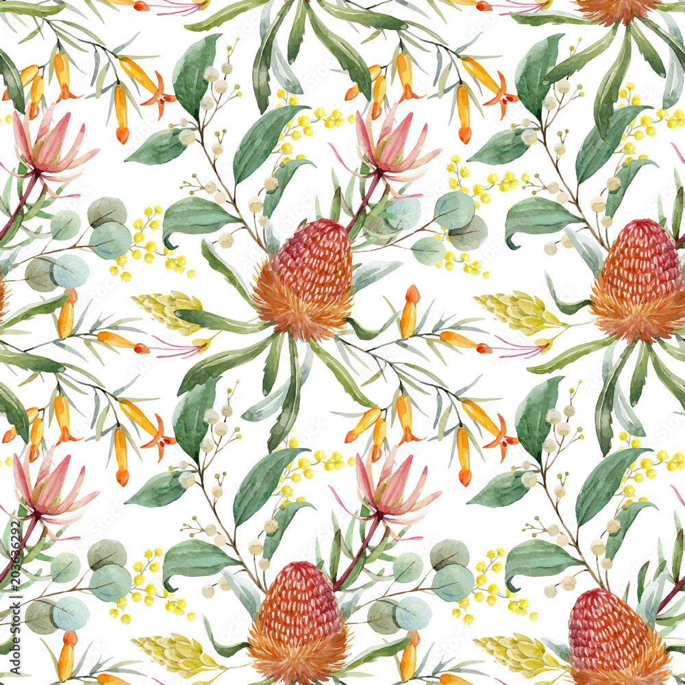 aquarell-australisches-banksia-vektormuster