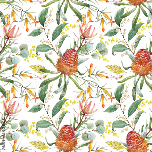 aquarell-australisches-banksia-vektormuster