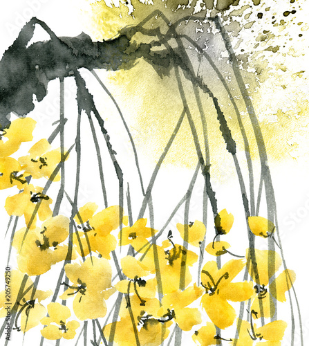 blossom-plum-tree