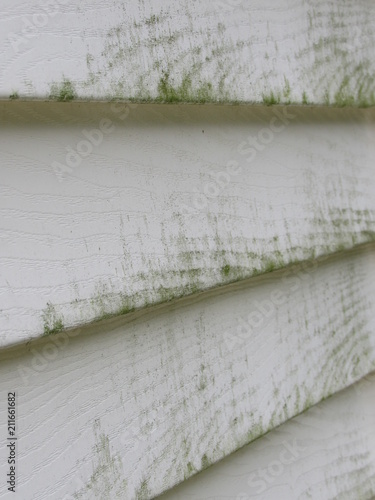 Close Up Of Mold And Mildew On House Siding Photos Ap Images Close Up Of Mold And Mildew On House Siding