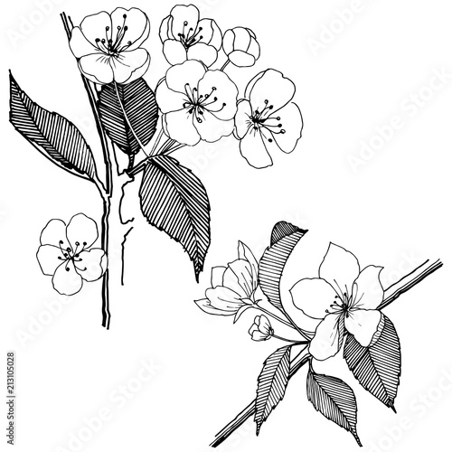 Flowers Drawing With Name