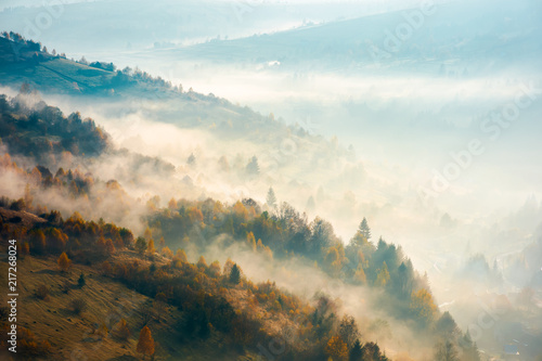 do-salonu-z-motywem-gor