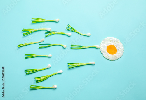 fried egg and scallions, fertilization © Warakorn