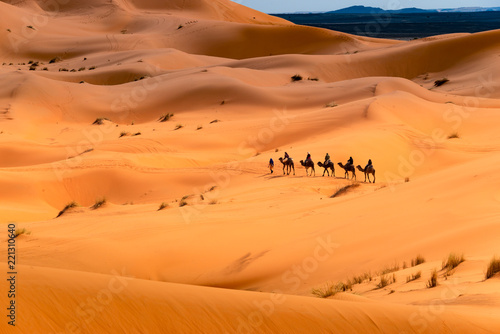 Camel ride through the desert © cineuno