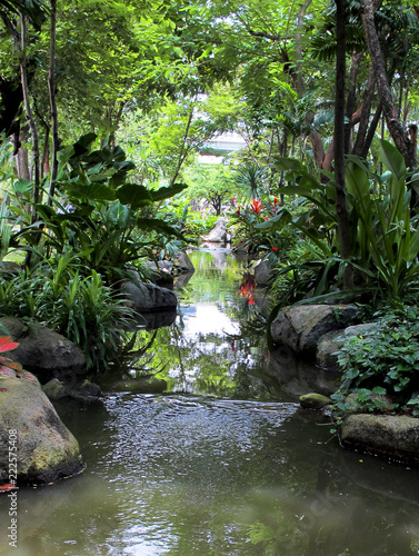 Asian style backyard