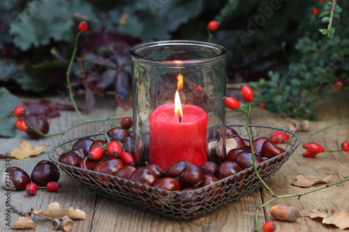 still life with red candle and chestnuts © Natalia Greeske