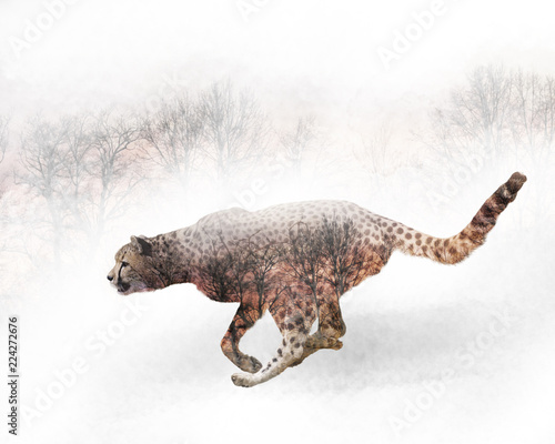 double-exposure-of-running-cheetah-and-trees