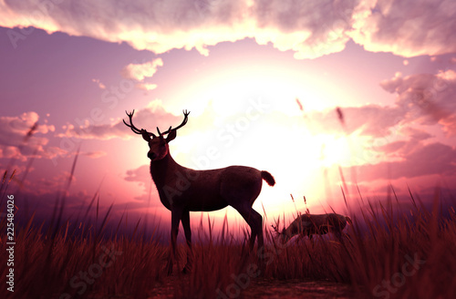 deer-in-grass-field-at-sunset-or-sunrise-3d-illustration