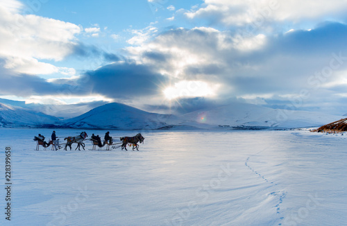 horses pulling sleigh in winter cildir lake kars buy photos