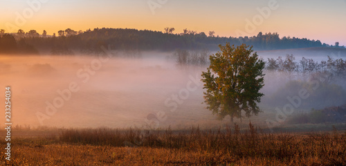 beautiful, misty sunrise over autumnal meadows and fields,beautiful play of light in the fog © Mike Mareen
