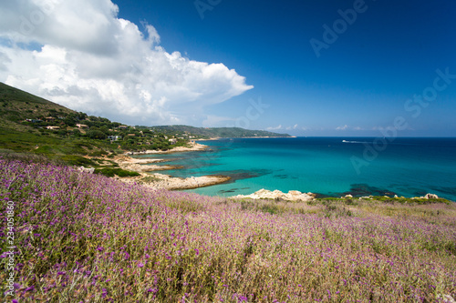 Mittelmeerküste beim Cap Taillat, Frankreich © Donnerbold
