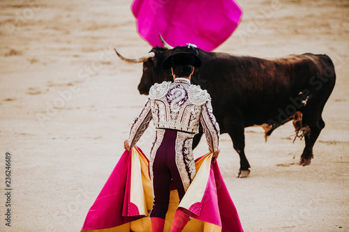 Spanish bullfight. The enraged bull attacks the bullfighter