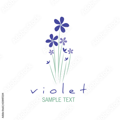 Bouquet of wild violets isolated on white background. © LaInspiratriz