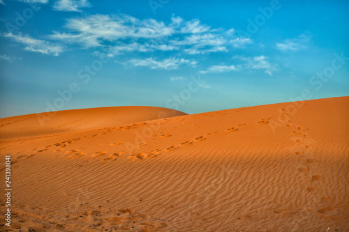 Sahara Morocco © Patricia