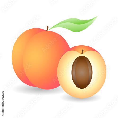 Beautiful ripe peaches, whole and half © Roman