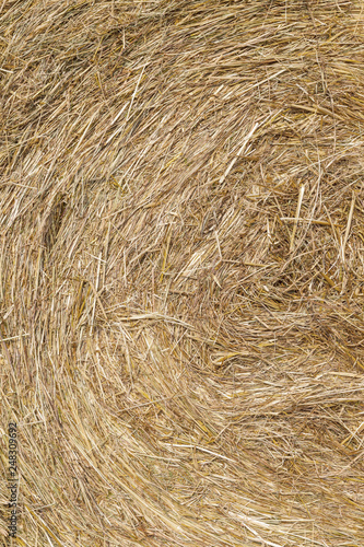 detail of bale of straw © travelview
