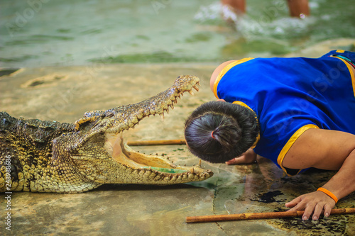 Nakhon Pathom, Thailand - May 18, 2017: Risky crocodile shows at Samphran Crocodile Farm, one of the most impressive public crocodile shows in the world.