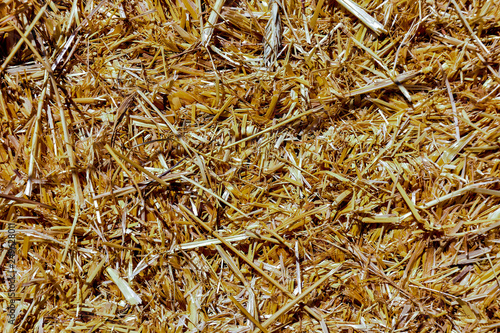 Background The natural texture of dry straw © underworld