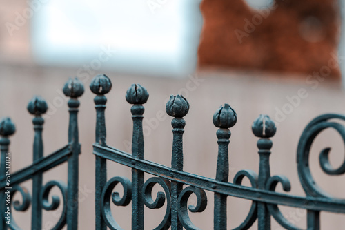 Wrought-iron fences, decorations © ustudent