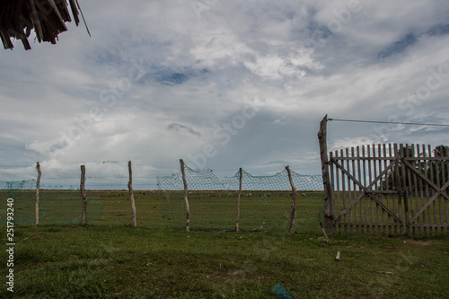 fence in the field © Pedro