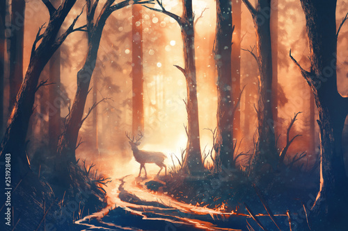 Illustration of a deer in warm forest © Kevin Carden