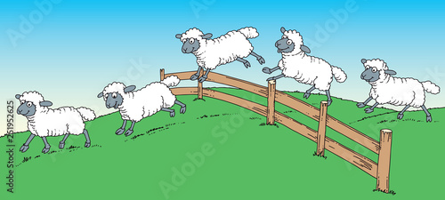 sheep over fence © Moriz