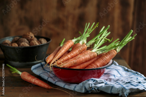 Still Life with fresh Carrots amd Walnuts © Nailia Schwarz