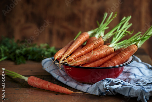 Still Life with fresh Carrots © Nailia Schwarz
