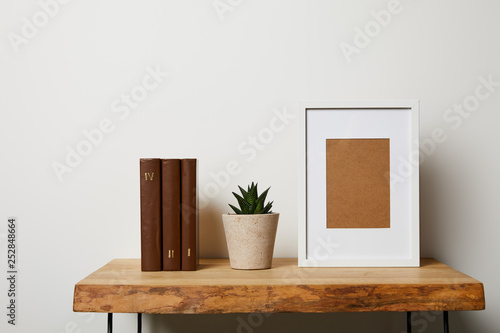 books near cactus in pot and frame on wooden table © LIGHTFIELD STUDIOS
