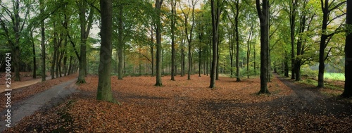 Steenwijk Woldberg Netherlands. Autumn panorama © A