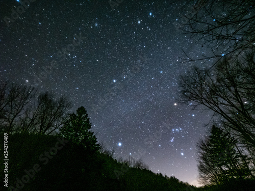 冬の森の星空