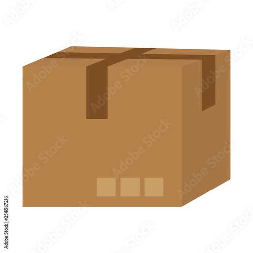 delivery cardboard box