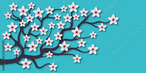 Illustration d’une branche de cerisier avec ses fleurs blanches sur un fond bleu, symbole de l’arrivée du printemps. © pict rider