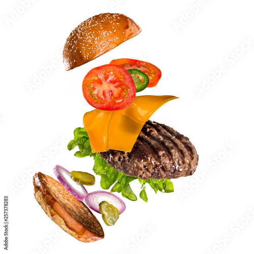 Tasty hamburger with flying ingredients on white background. High resolution image. © Lukas Gojda