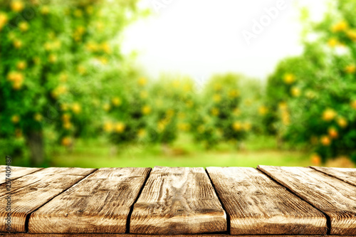 Desk of free space for your decoration and spring blurred background © magdal3na