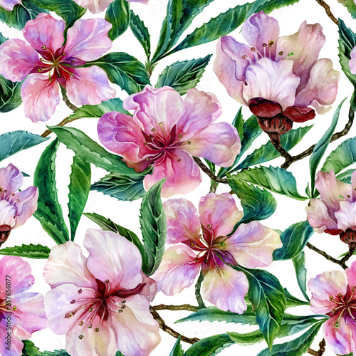 Beautiful peach tree twigs in bloom on white background. Lilac flowers and red leaves. Spring blossom. Seamless floral pattern. Watercolor painting. Hand drawn illustration. © katiko2016