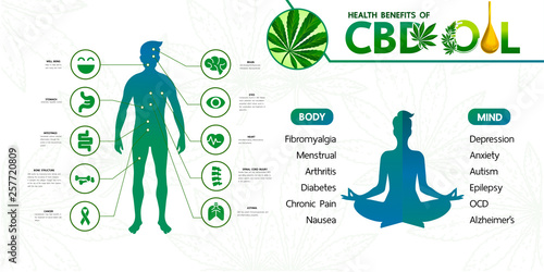 Cannabis benefits for health vector illustration.