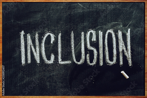 Word Inclusion on school blackboard © Bits and Splits
